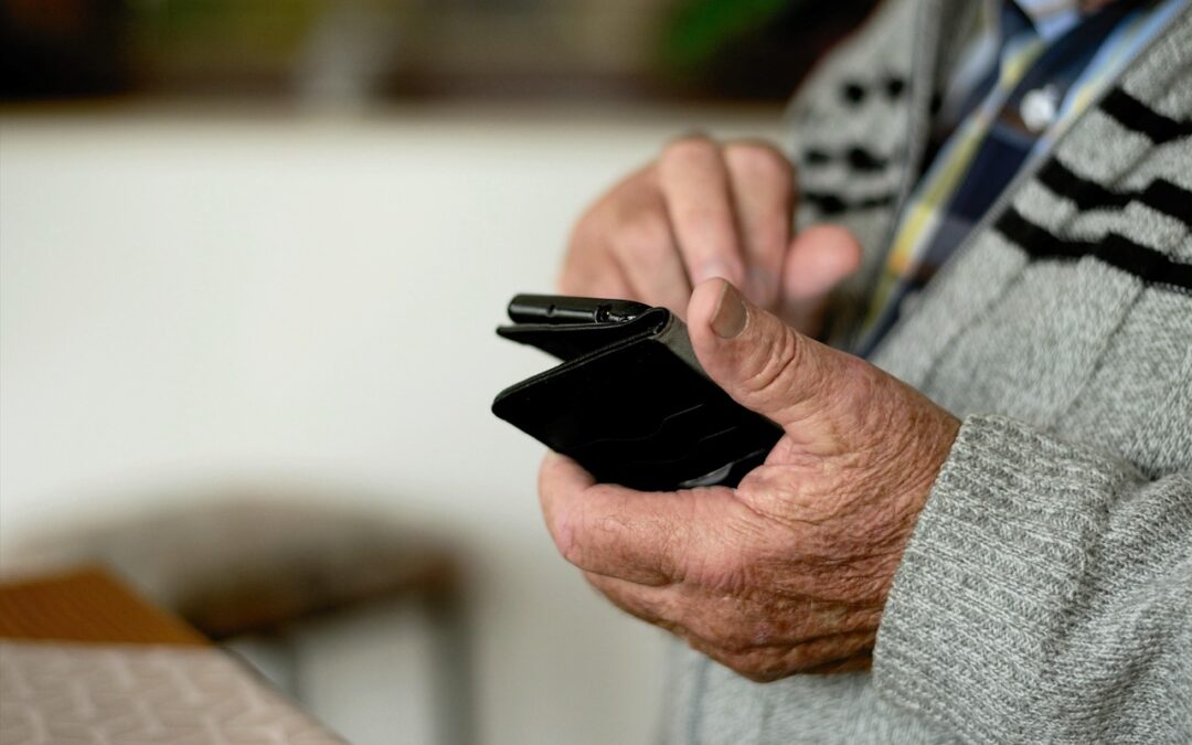 Las TIC´s en el cuidado de personas vulnerables y mayores: Experiencias del País Vasco
